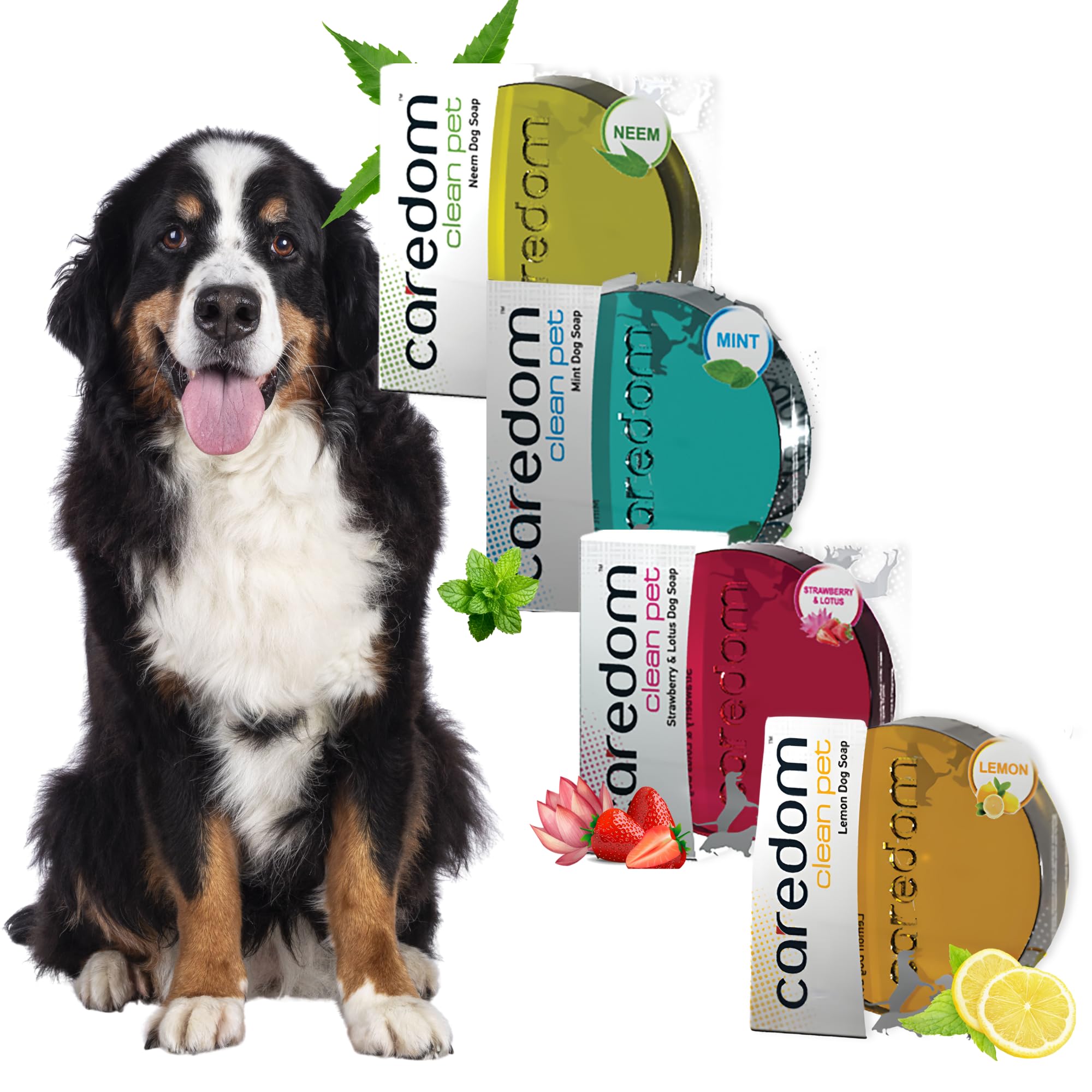 Clean Pet Dog Soap Combo - All 4 Variants (Neem, Strawberry, Lemon, Mint) 75g Each - Transparent Glycerine Pet Bar Set | Antifungal, Antibacterial & Refreshing Fragrance | Money Value Pack