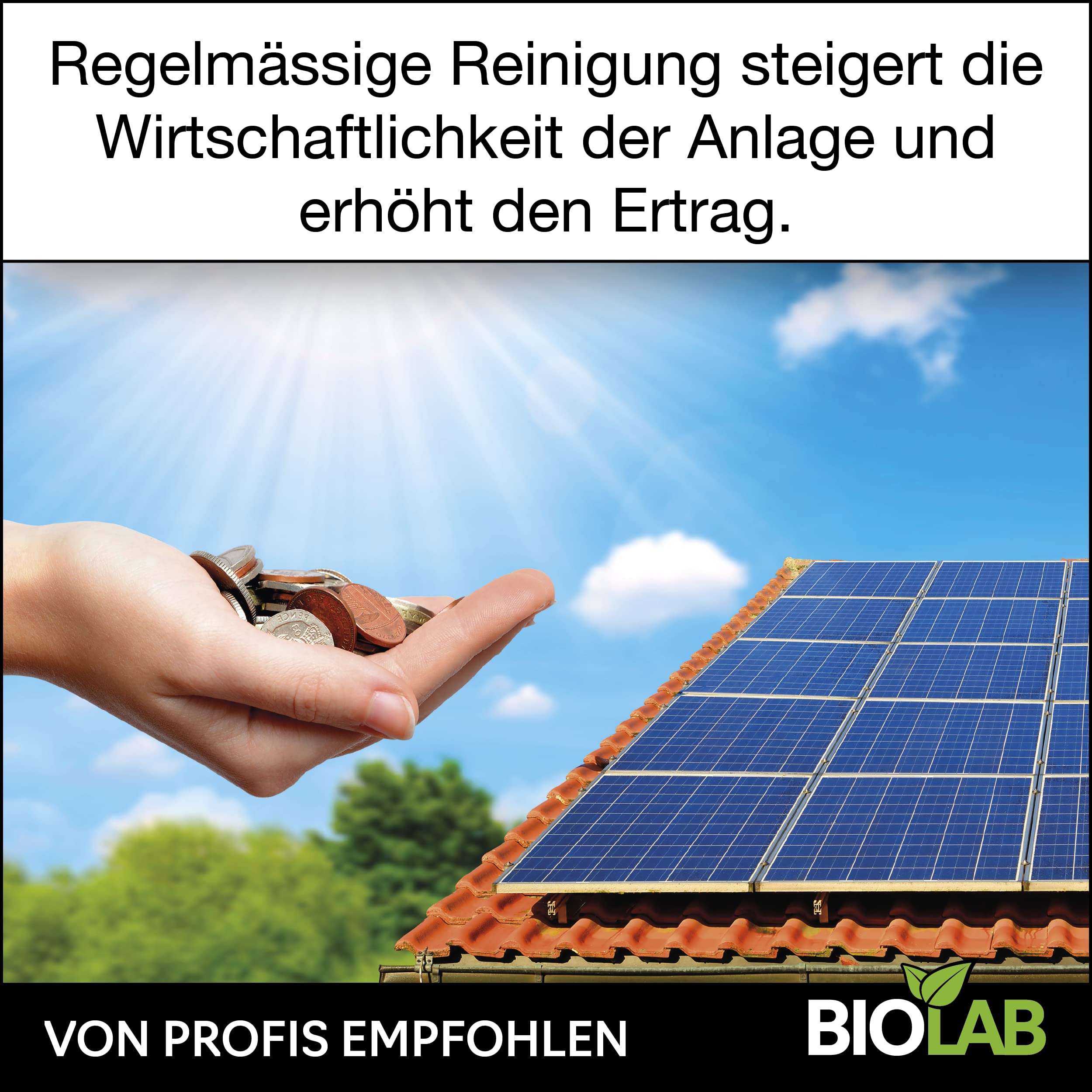 BIOLAB Detergente solare e fotovoltaico concentrato 1:20 (2 x 1 litro) per la pulizia di impianto solare, impianto fotovoltaico, pannello solare, pannello solare, impianto fotovoltaico, impianto