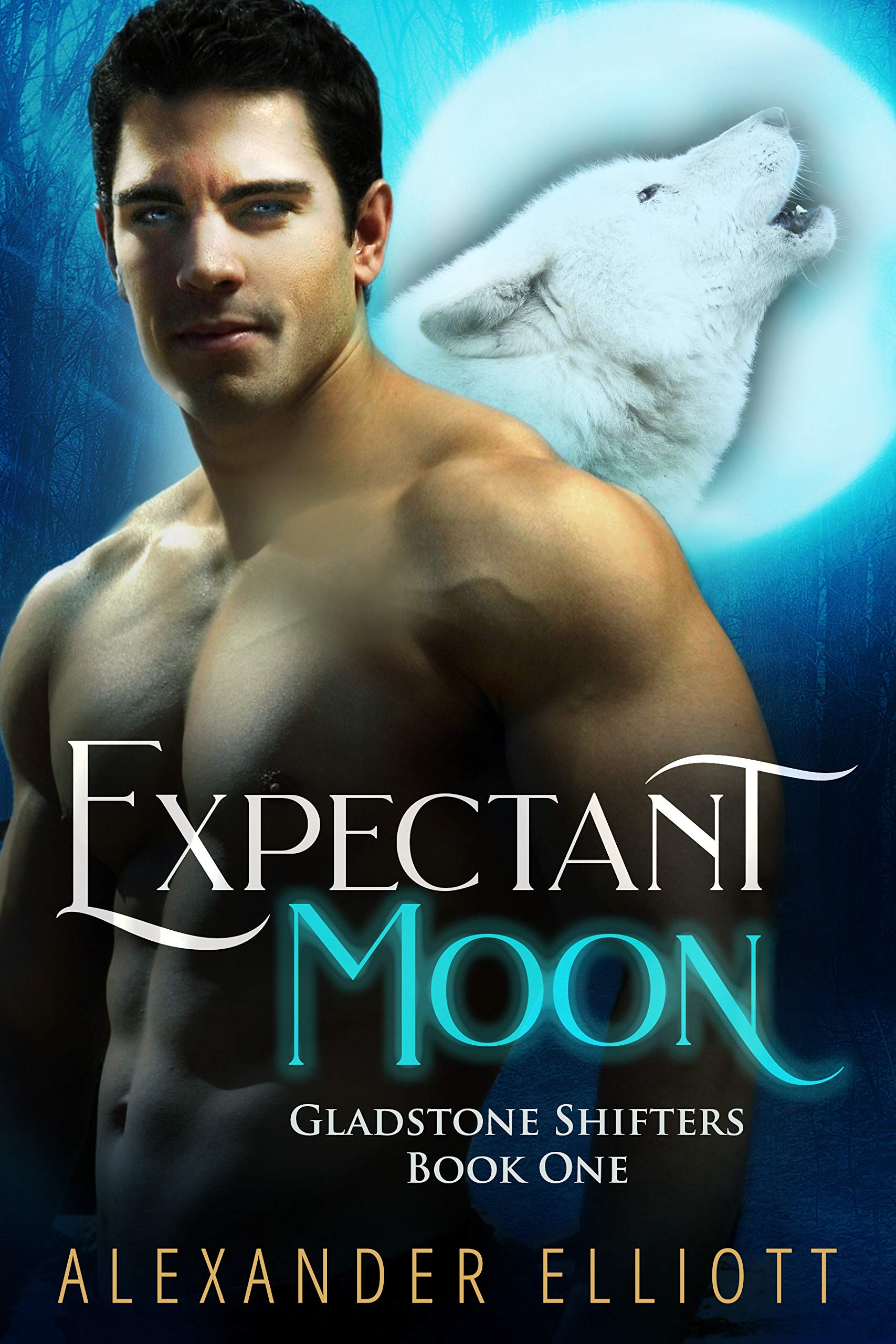 Expectant Moon (Gladstone Shifters Book 1)