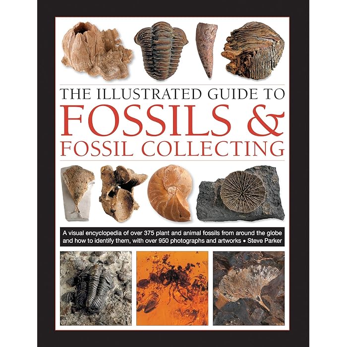 Buy Fossils & Fossil Collecting, The Illustrated Guide to A reference