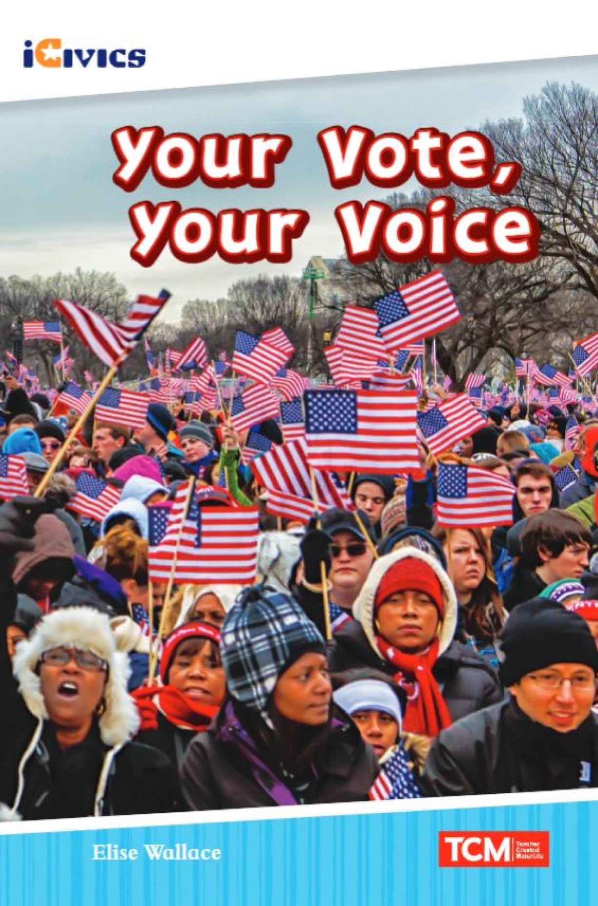 Your Vote, Your Voice (iCivics)