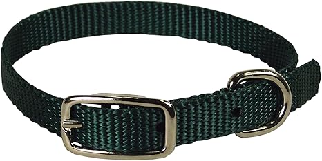 hamilton dog collars amazon