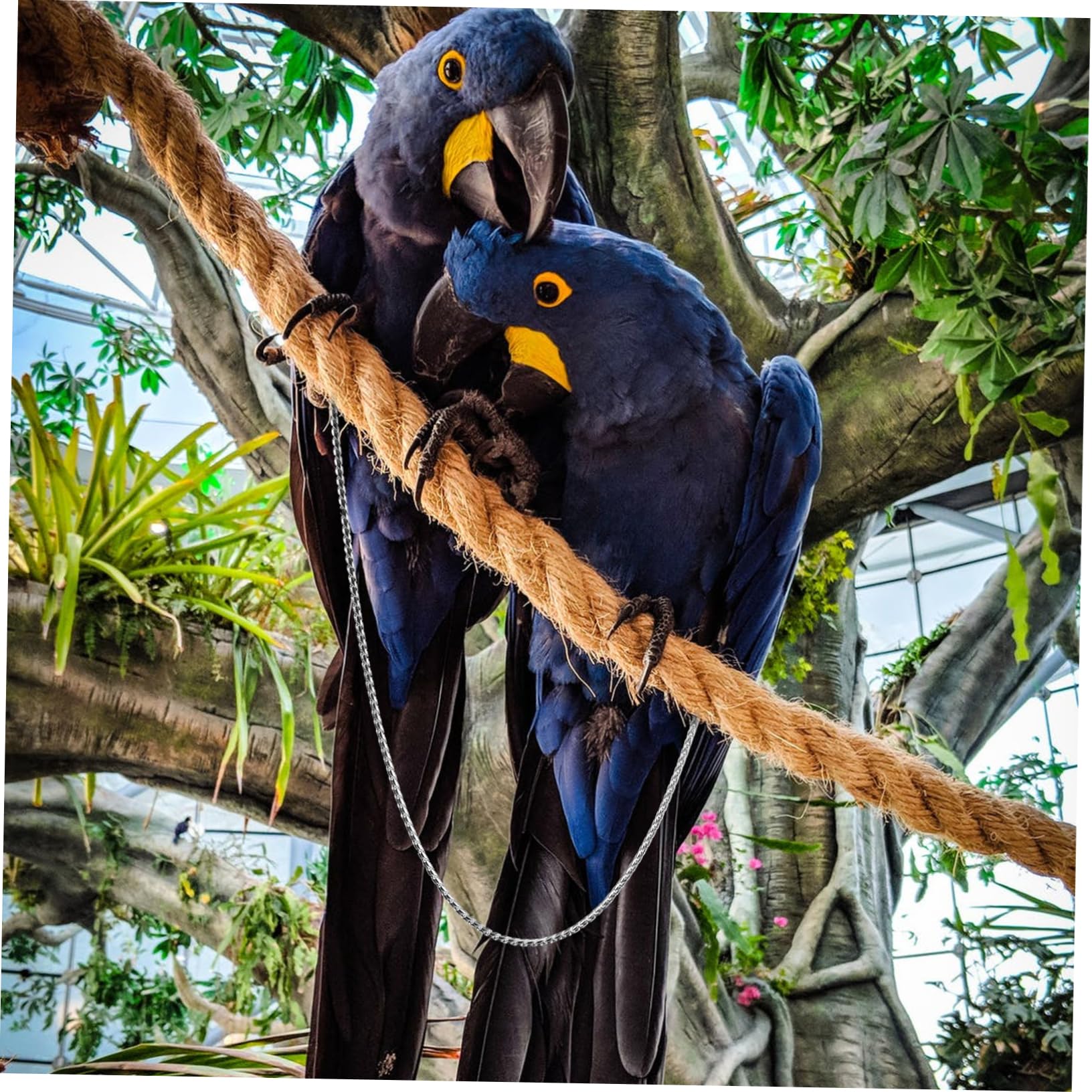 BESPORTBLE Parrot Ankle Leash Foot Chain Bird's Foot Chain Metal Anklet Ring Training