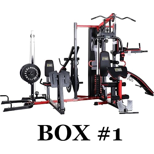 Fitvids Multifunctional Home Gym System Workout Station with Leg Extension and Preacher Curl, 122.5LB Weight Stack, Multiple Options, Multiple Packages