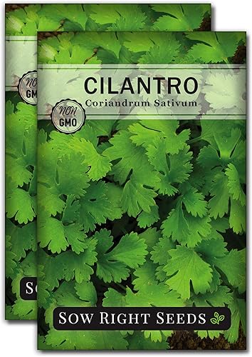 Miniatura 7 de Sow Right Seeds - Semillas de cilantro para plantar - Paquete de reliquia sin OMG con instrucciones para cultivar un jardín de hierbas de cocina