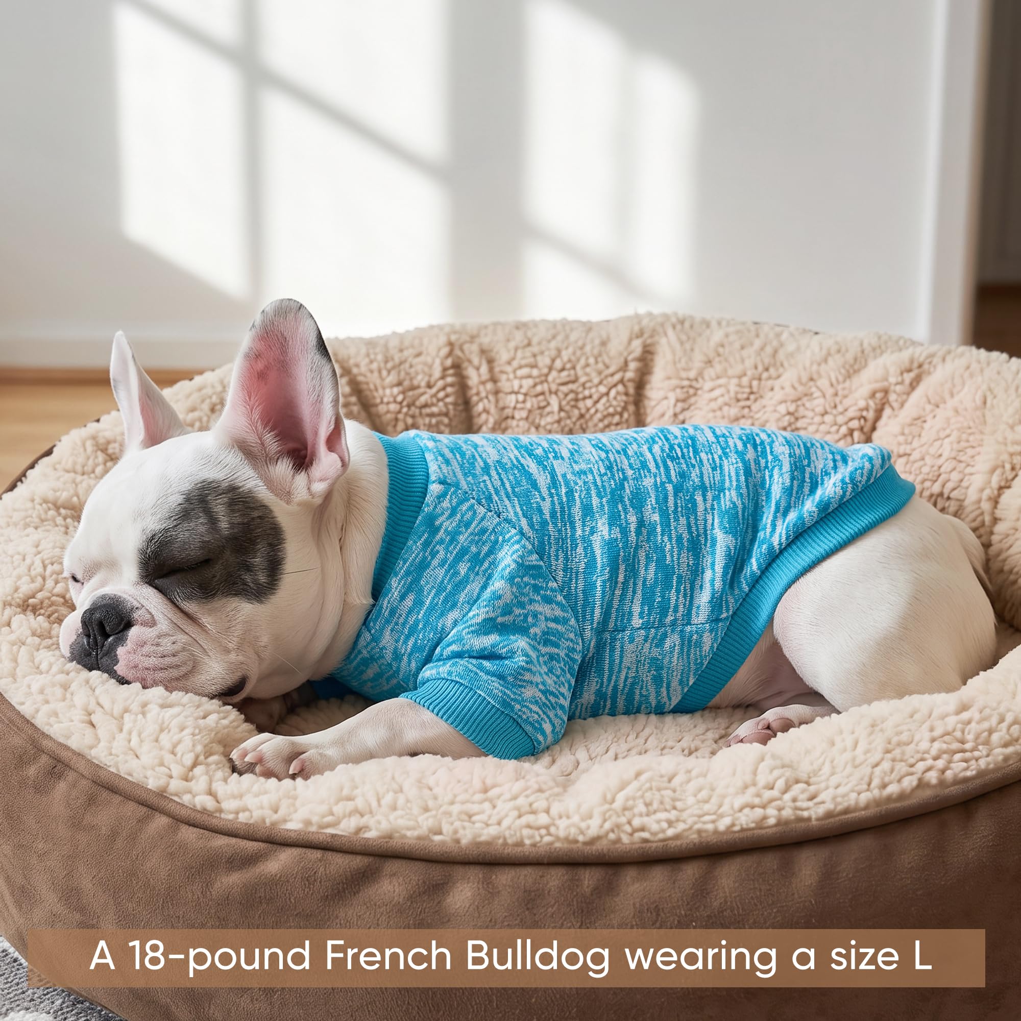 Lot de 2 pulls en polaire chaude pour chiens de petite et moyenne