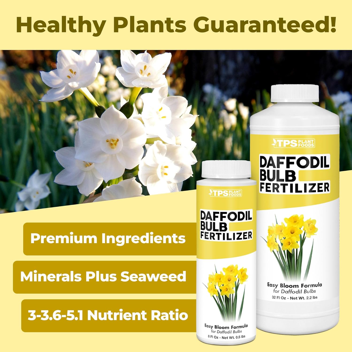 Daffodil Fertilizer – Liquid Plant Food for More Blooms & Stronger Bulb Development, 32 oz
