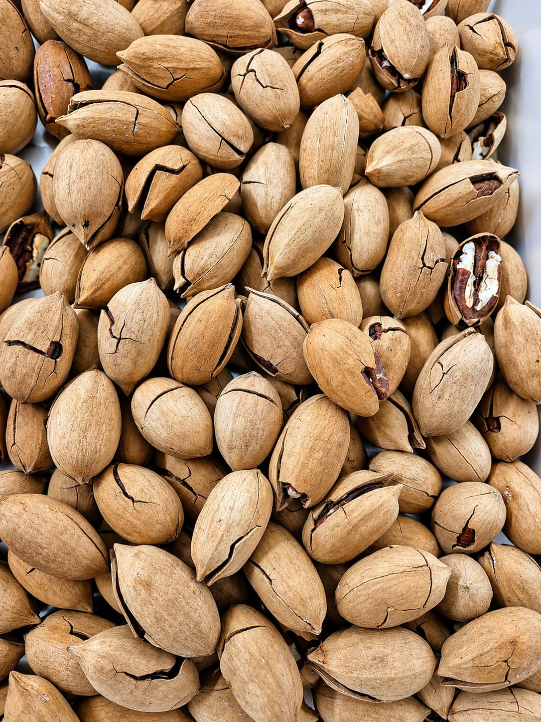 Noci Pecan In Guscio Aromatizzate 1Kg Varianti Al Caffè O Alla Vaniglia Snack Gourmet Tostato Frutta Secca Premium Croccante Ideale Per Aperitivi Relax (Noci Pecan In Guscio Alla Vaniglia 1Kg)