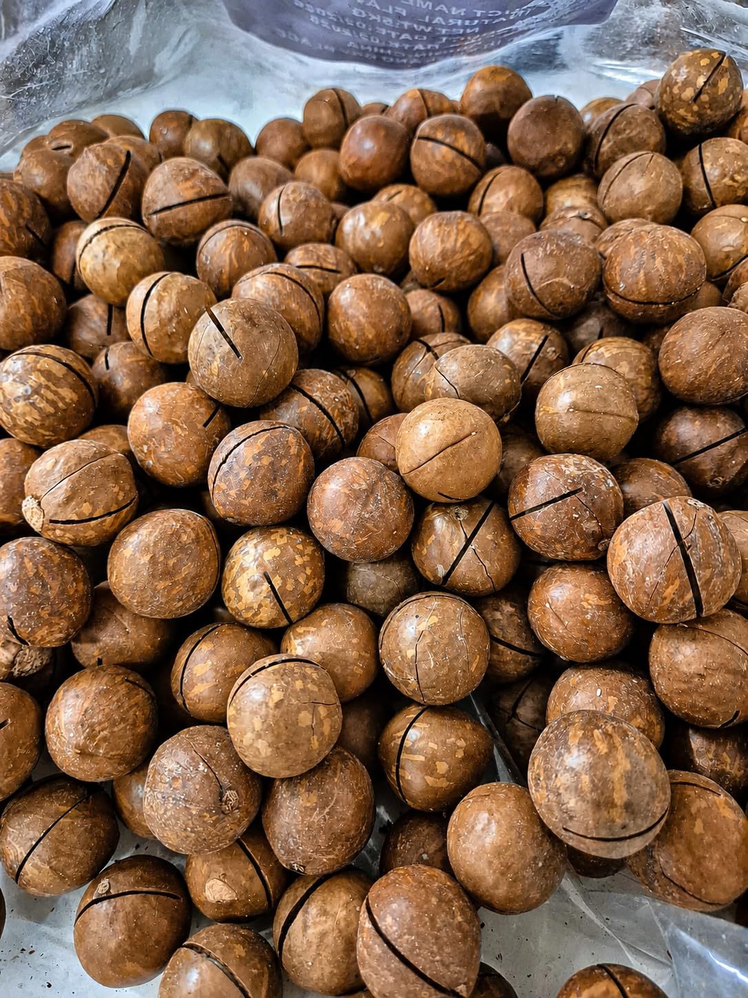 Noci Macadamia In Guscio Al Caffè 1Kg Frutta Secca Aromatizzata Snack Gourmet Croccante Tostato Premium Con Guscio Inciso Ideale Per Aperitivi Relax E Regalo Gourmet