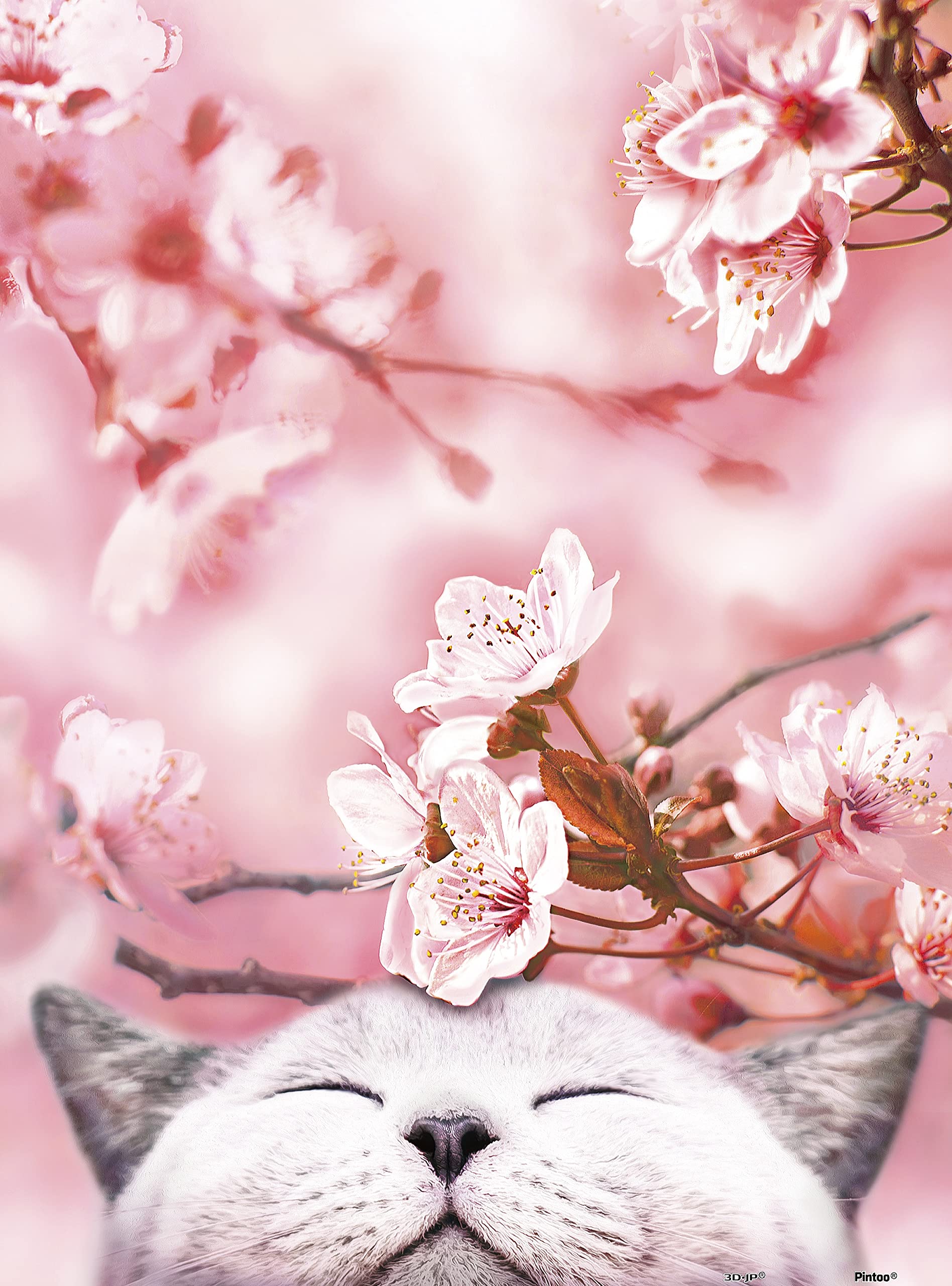 pintoo cat puzzle