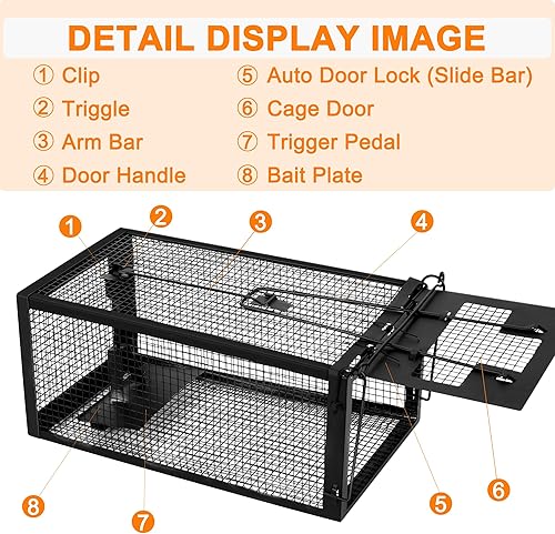 Miniatura 10 de Paquete de 2 trampas humanas para ratas, trampas para ratas de ratón vivo, atrapan y liberan para interiores y exteriores, trampas para animales