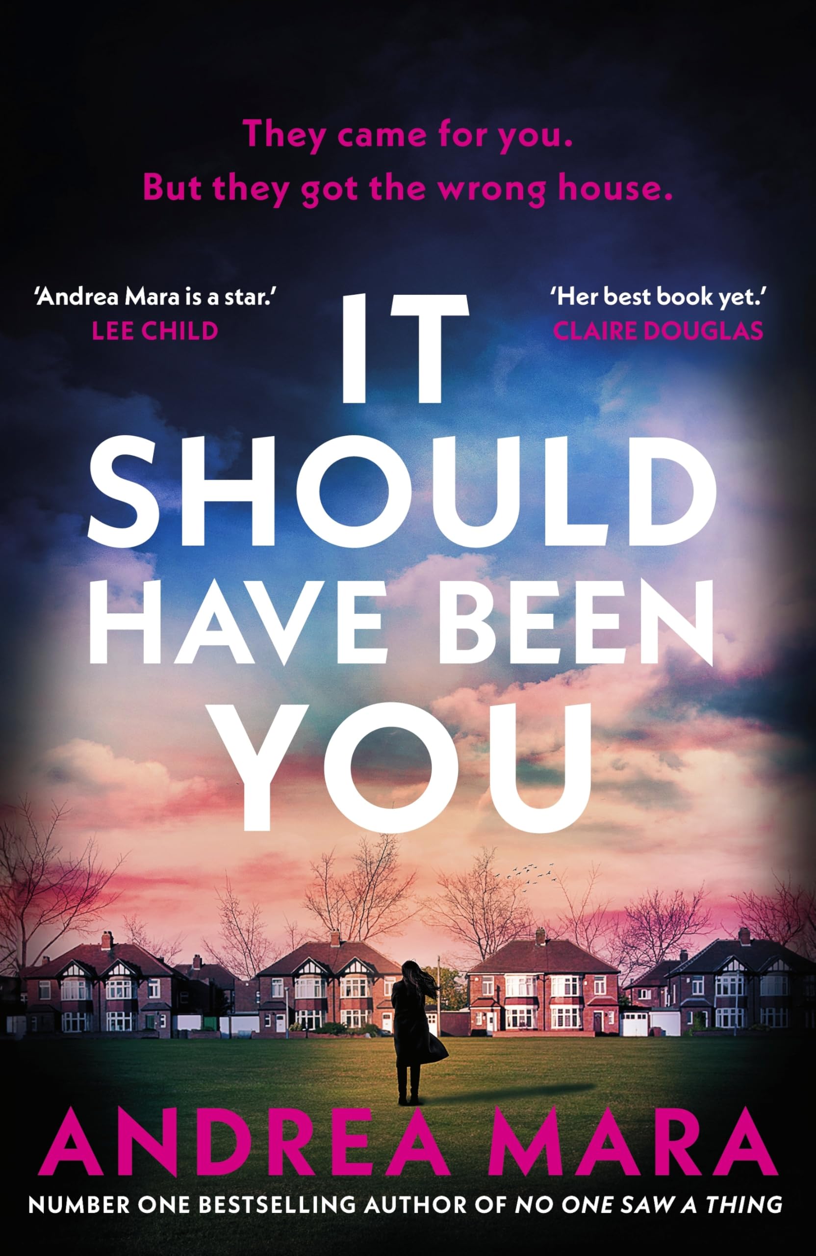 It Should Have Been You: The 2025 Crime Novel of the Year from the million-copy bestselling author of All Her Fault, now a hit TV series starring Sarah Snook