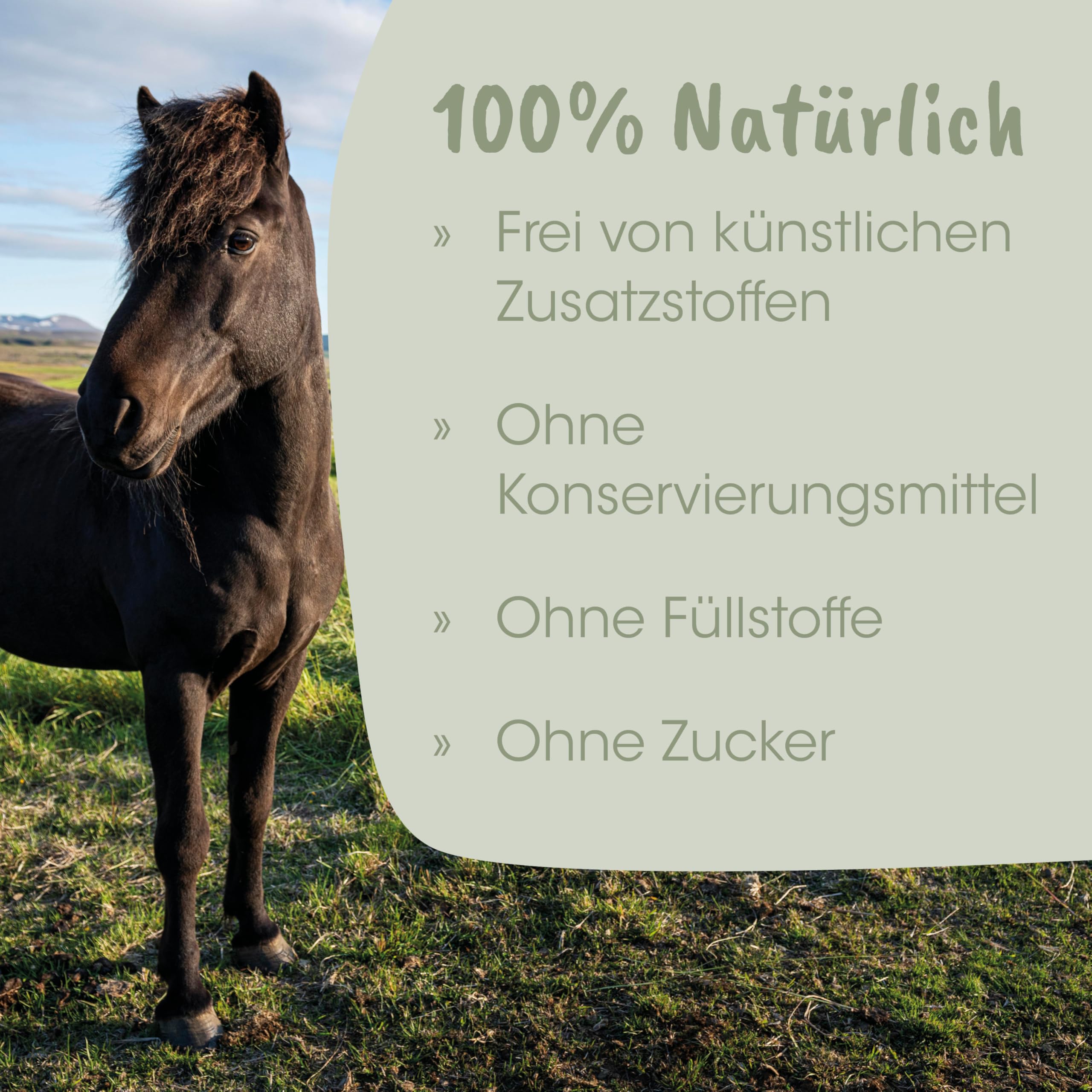 cdVet Naturprodukte EquiGreen Peñuña Fitness 20 kg - Caballos - Crecimiento Saludable de pezuña - Hierbas valiosas + vitaminas vitales + minerales - Hermoso + Brillante - Piel Salud -