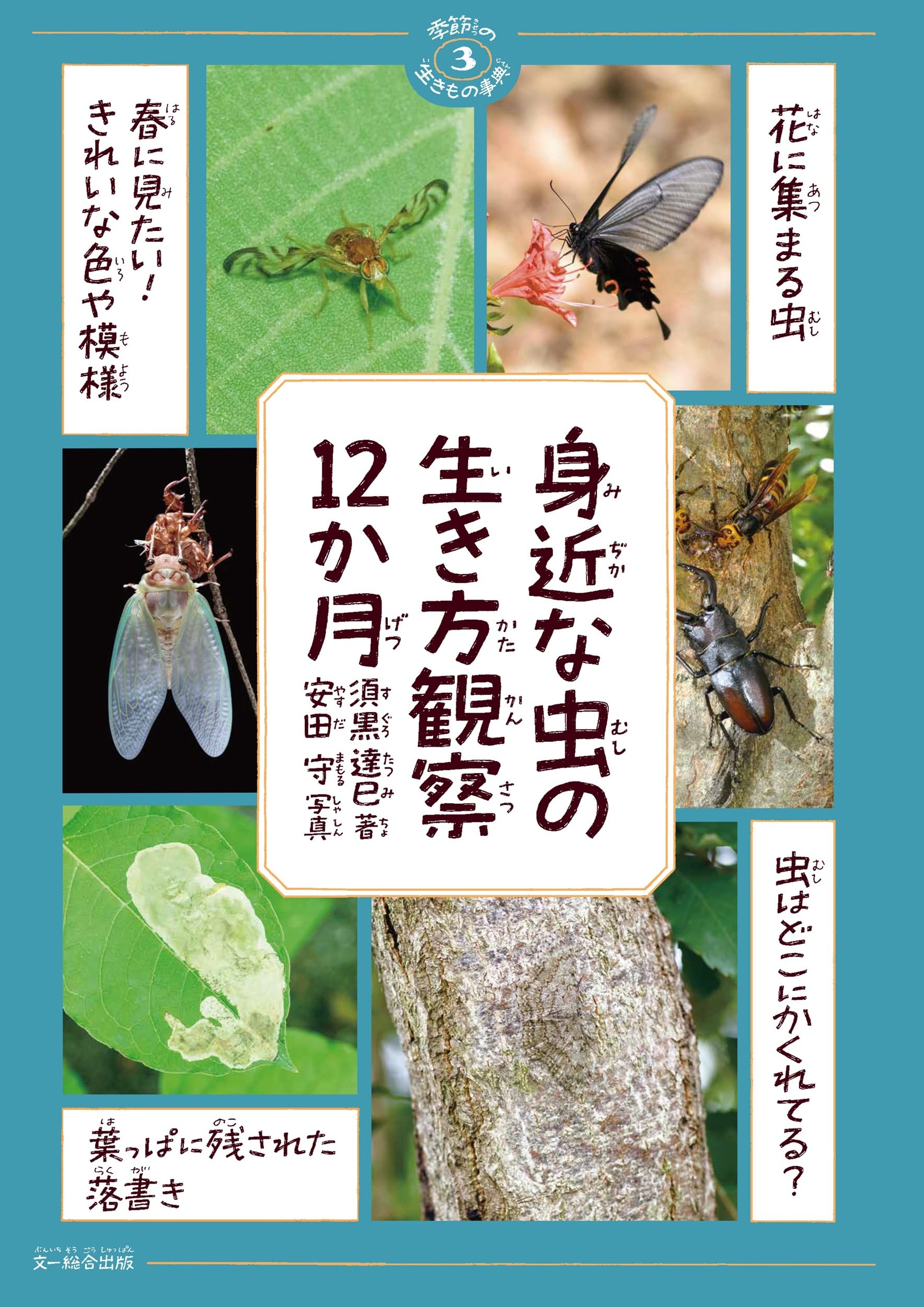 身近な虫の生き方観察12か月 (季節の生きもの事典 3) | 須黒達巳