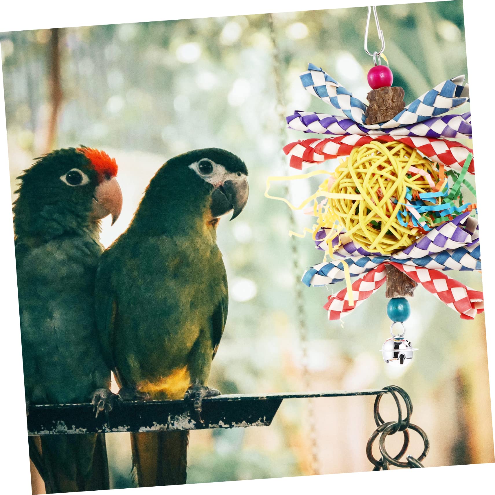 FRCOLOR 2pezzi Giocattolo Per Pappagalli Rattan Gioco Da Masticare Per Uccelli Accessorio Creativo Per Nibblare e Divertirsi Per Pappagalli Di Piccole e Medie