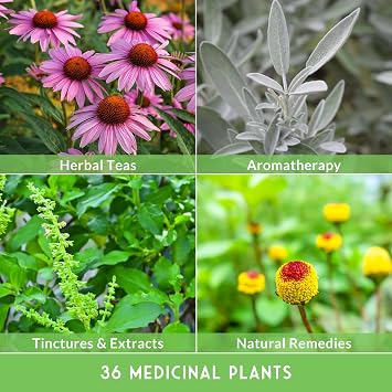 Ultimate Medicinal Herb Seeds, 36-Variety Heirloom Non-GMO Pack | Non-GMO Healing Herbs for Planting - Wellness Apothecary Garden Kit for Herbalists, Homesteaders - Survival Garden Seeds
