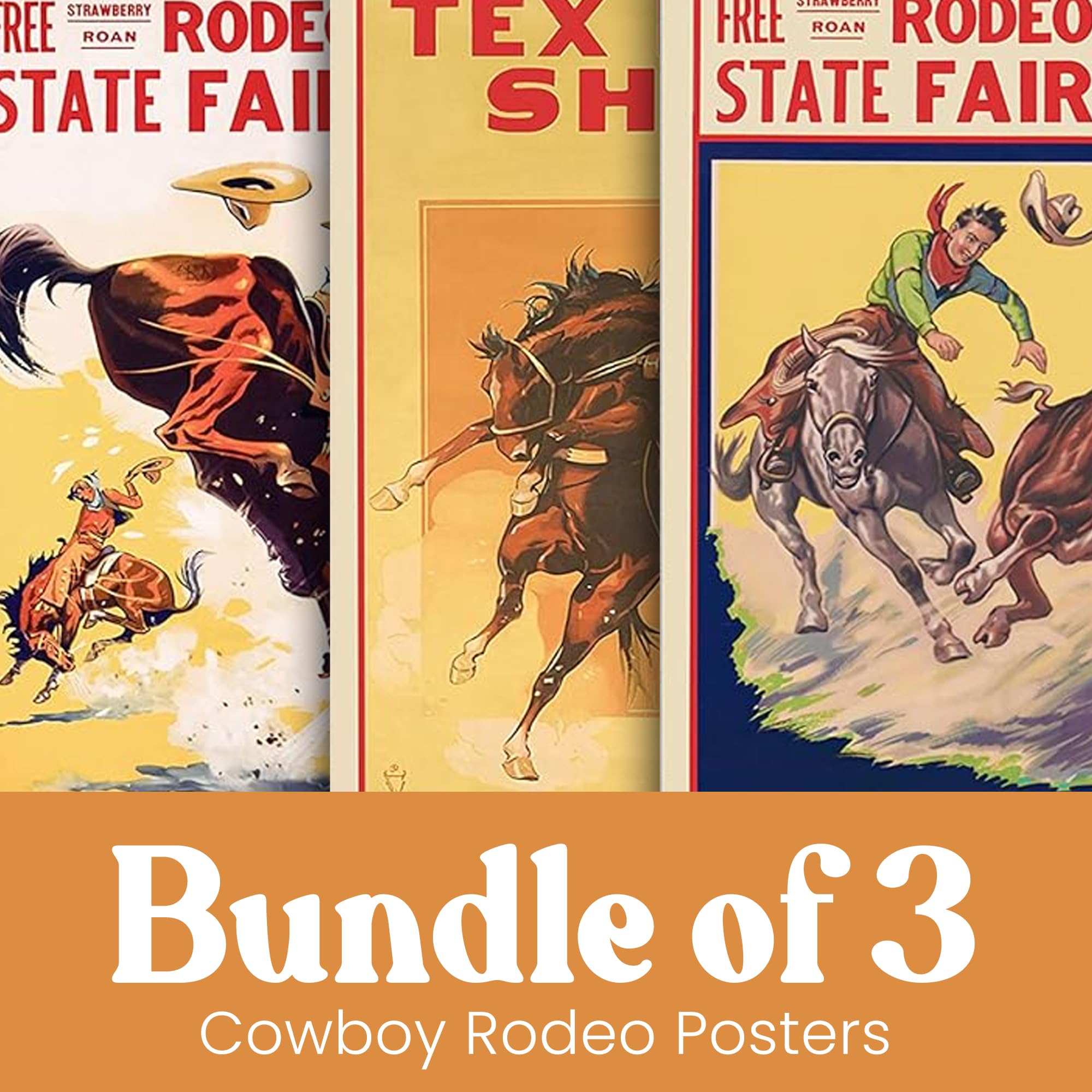 Amazon.co.jp: カウボーイロデオ 広報ヴィンテージ装飾 キュート