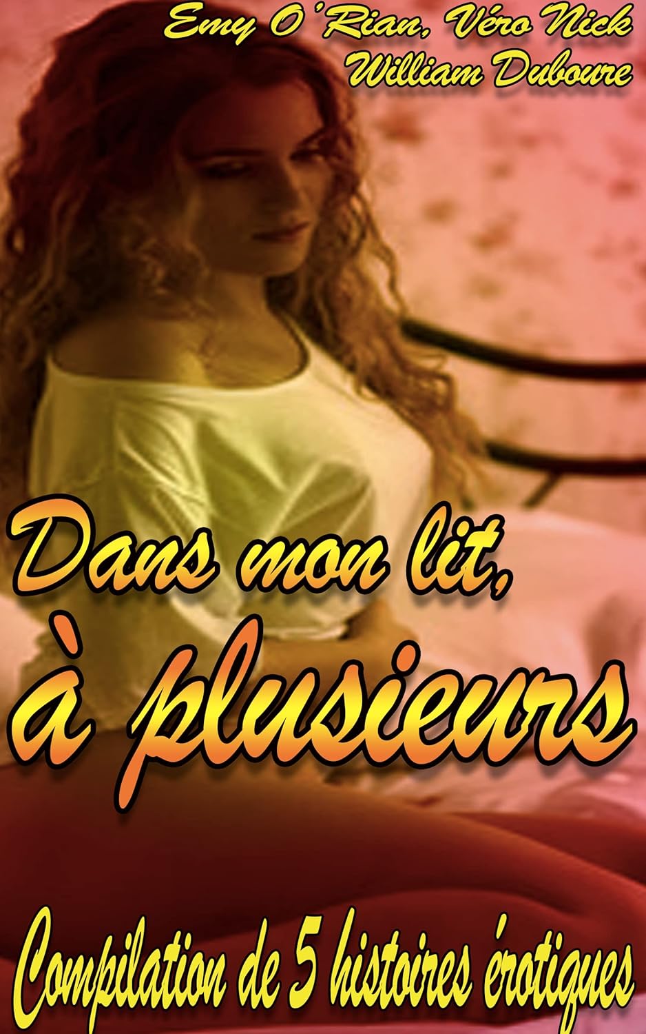 Dans mon lit, à plusieurs Compilation d’histoires érotiques pour adultes, en français, interdit