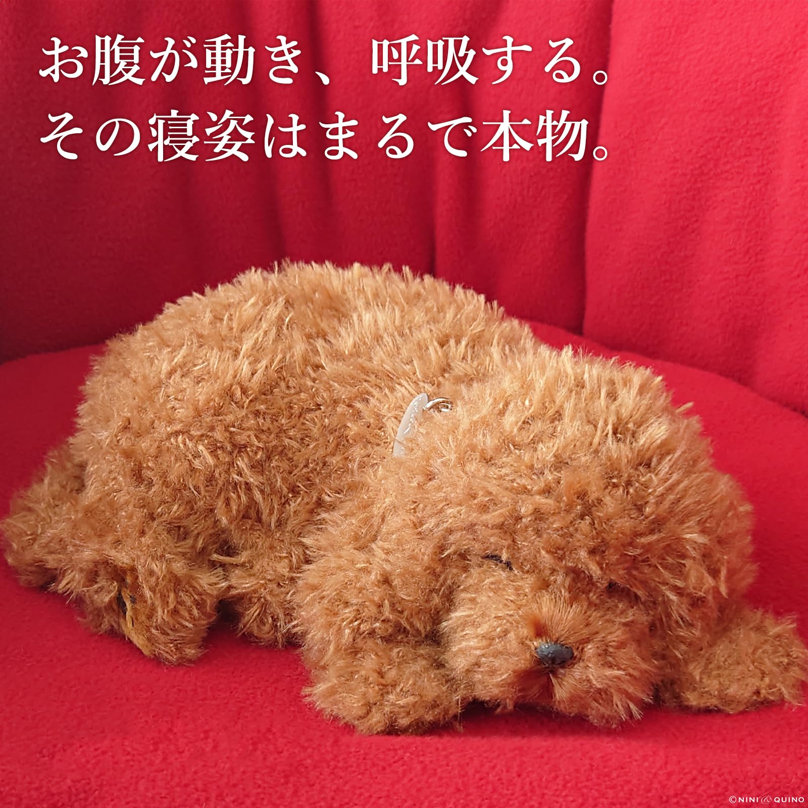 【希少】レア 童心 犬のビート ぬいぐるみ 2色セット 希少】レア 童心 犬のビート ぬいぐるみ 2色セット 希少】レア