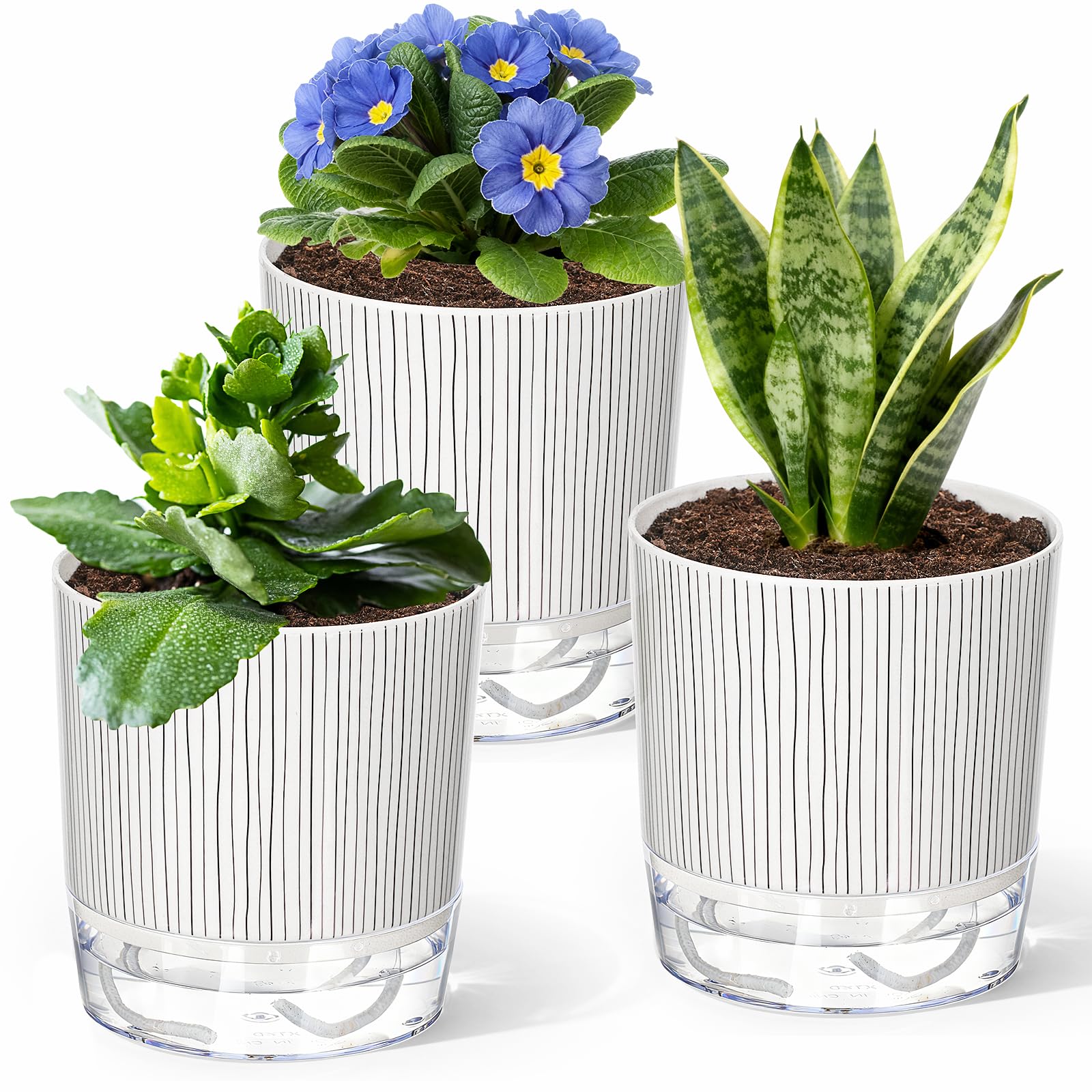 Samhe 3 Pack Self Watering Pots Set, 5.5 Inch Self Watering Pots for Indoor Plants, Planter Pot with Wick Rope and Reservoir for African Violet, Spider Plant, Orchid