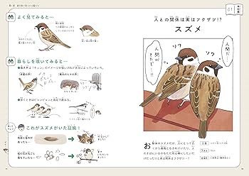 意外と知らない鳥の生活 | piro piro piccolo |本 | 通販 | Amazon