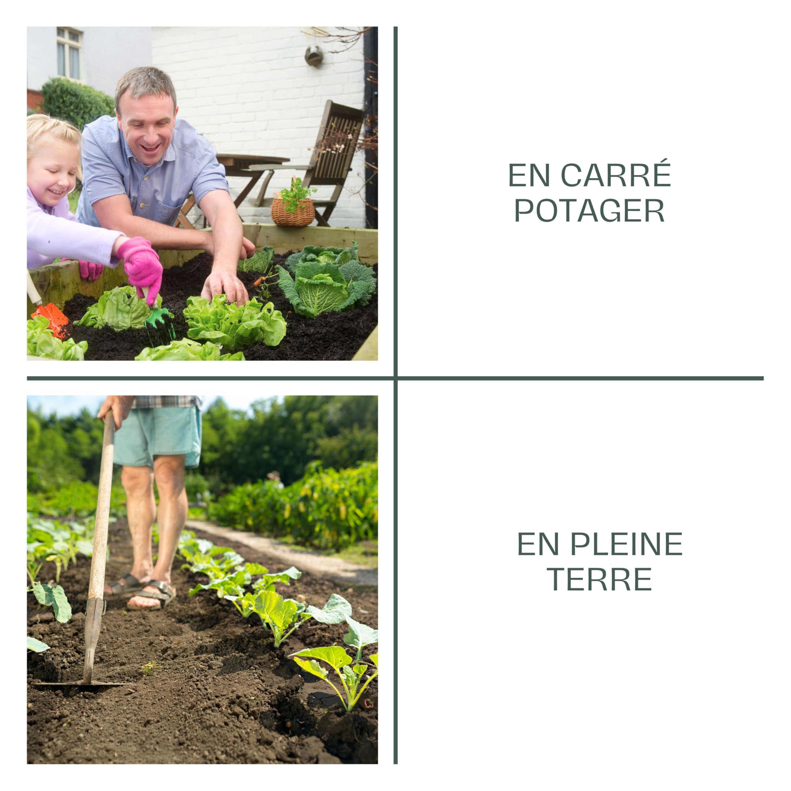 La Plaine Chassart - Terreau Potager et Aromates 20L - Terre Riche en Nutriments avec Tourbe, Biochar & Compost - Idéal Tous Légumes, Herbes - Prêt à l'emploi ou Remboursé