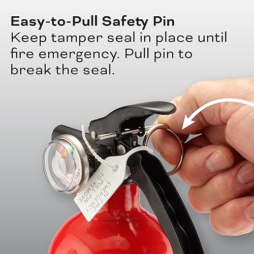 Miniatura 7 de Kidde Extintor de incendios para uso doméstico y de oficina, 2-A10-BC, 7.13 libras, manguera y montaje en pared (incluido)