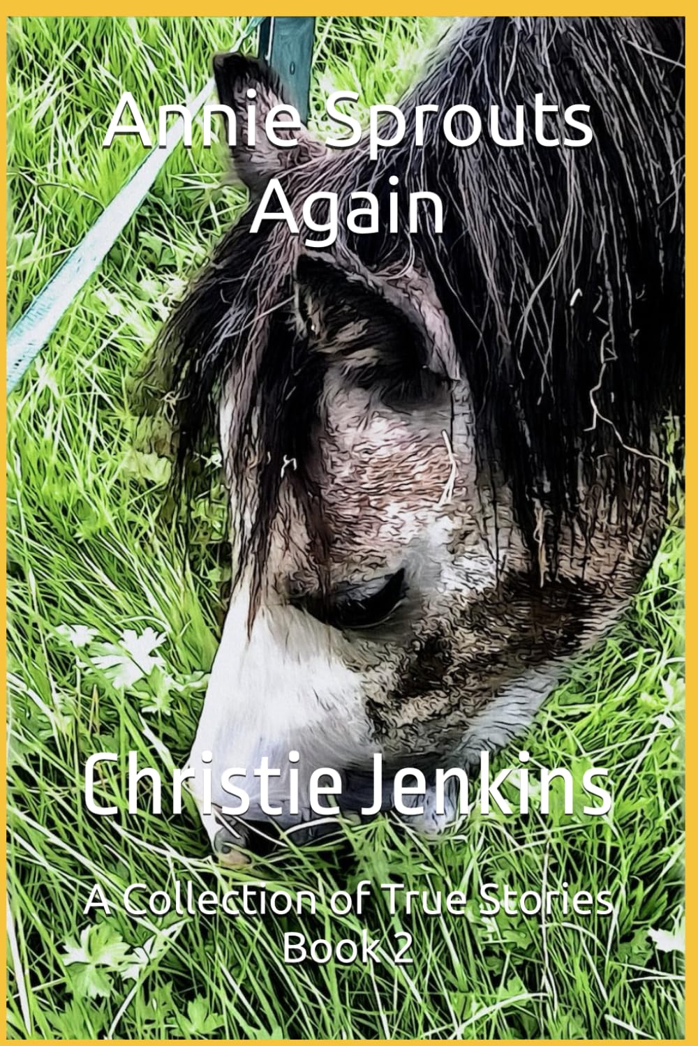 Annie Sprouts Again: A Collection of True Stories (Watch Out Sprout is About)
