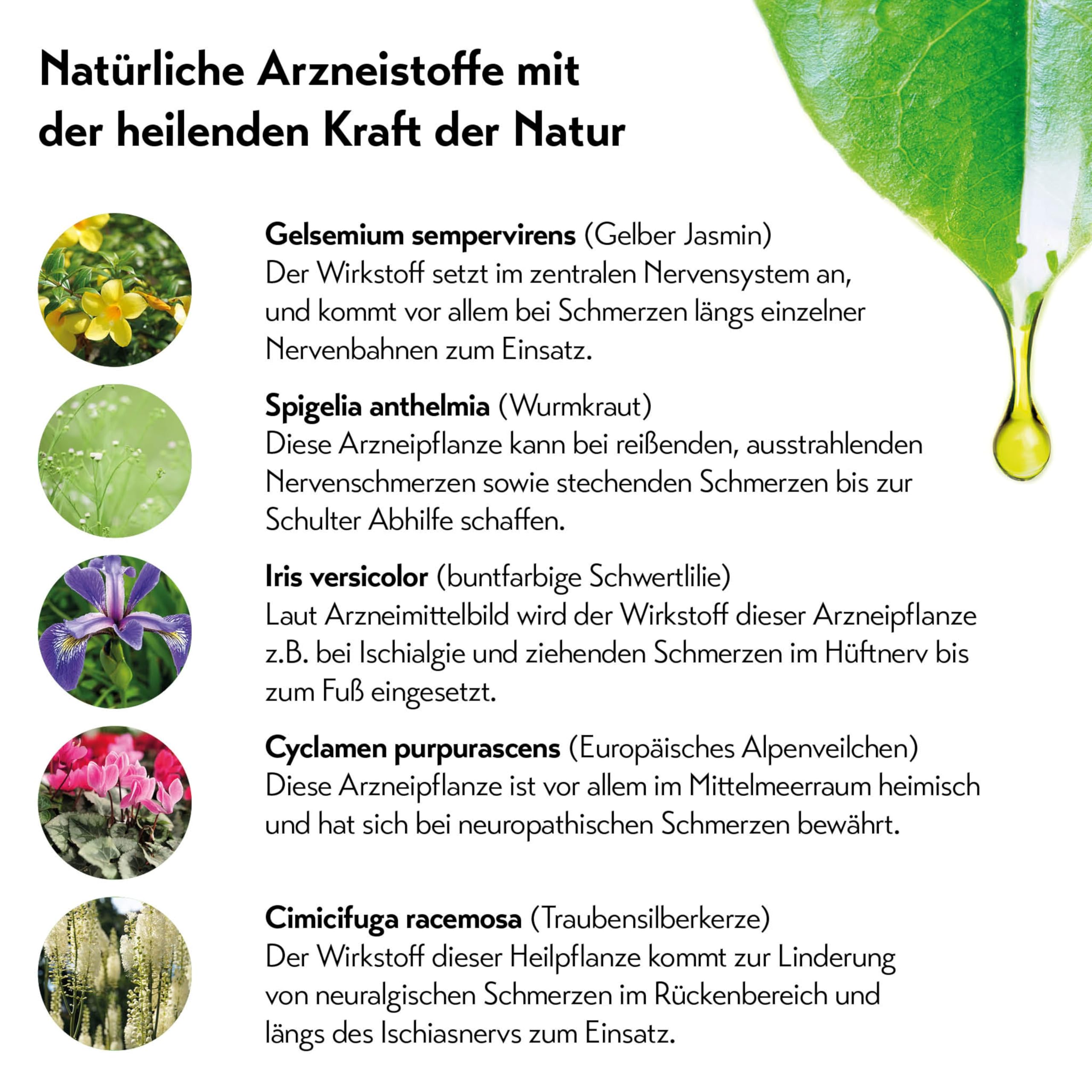 Restaxil Tropfen [100ml] - Natürliches Arzneimittel bei Nervenschmerzen (Neuralgien); Bei neuropathischen Schmerzen in Füßen, Rücken und Ischias