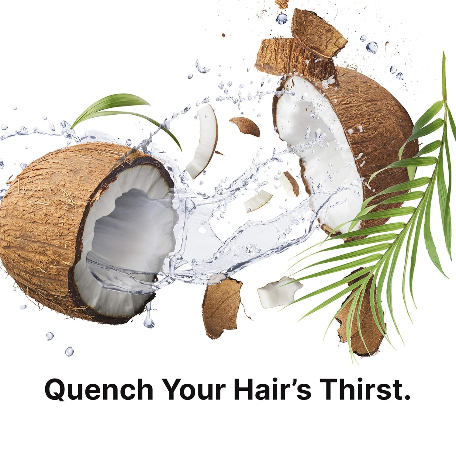 Pure Blends Coco-Colada Shampoo | Daily Use Hydrating Shampoo| Neutral-No Color Shampoo For In Between Color Depositing Washes | Balances Color & Repairs Dry, Damaged Hair | 33.8 Oz.