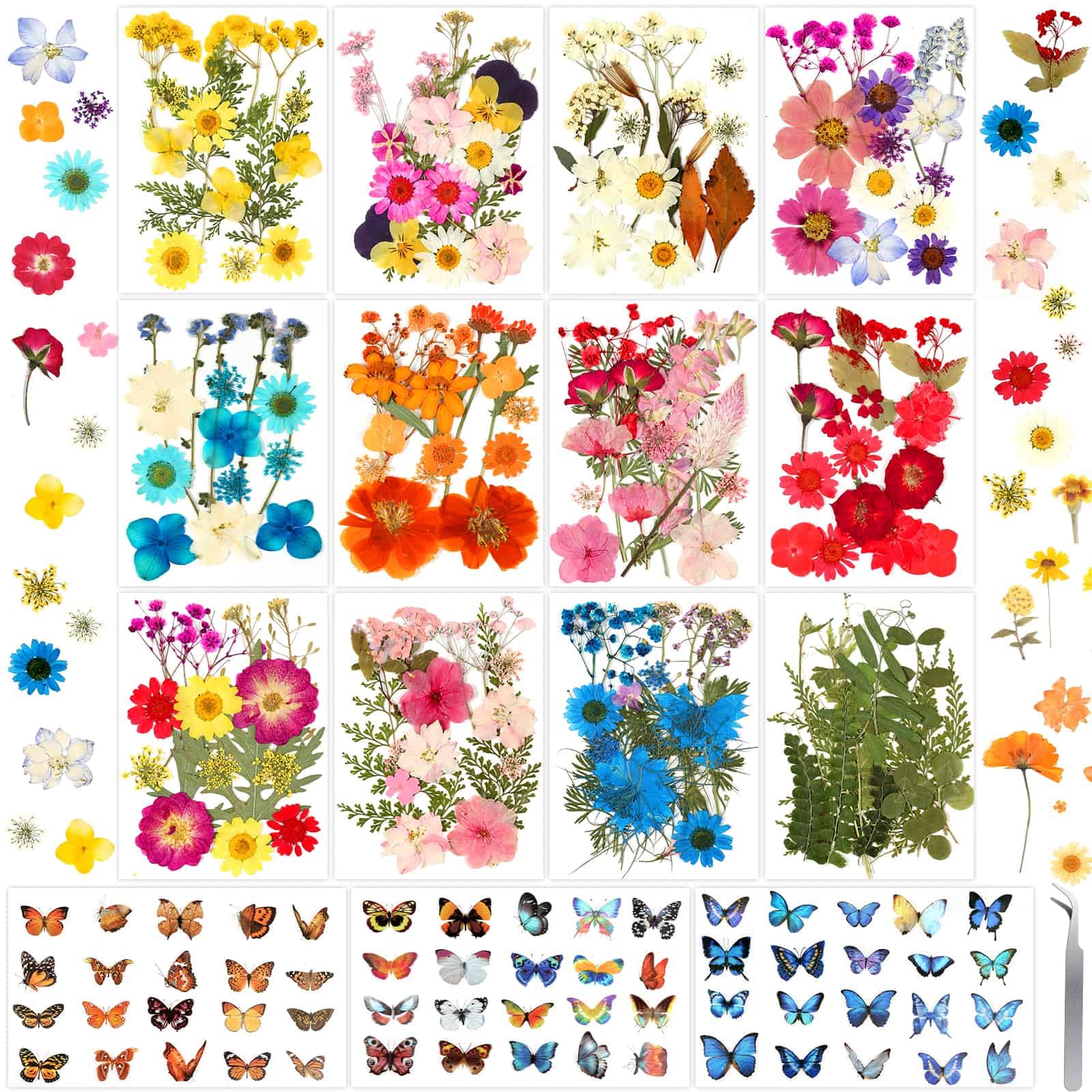 Evatage 300 Pcs Pressed Dried Flowers - dried and preserved flora | Mubboo