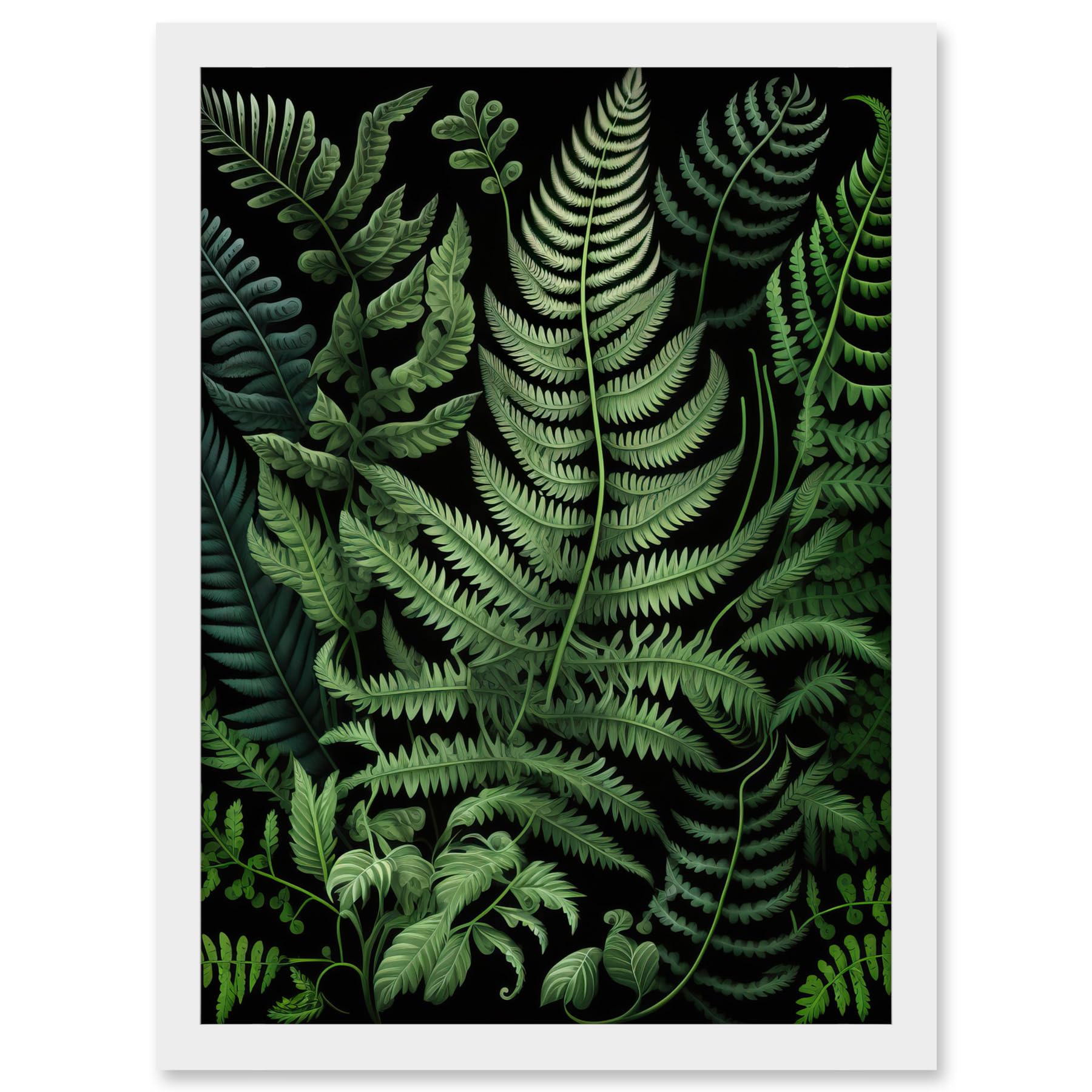 Artery8 Fern Fronds Illustration Ernst Haeckel Style Artwork Framed A3 Wall Art Print
