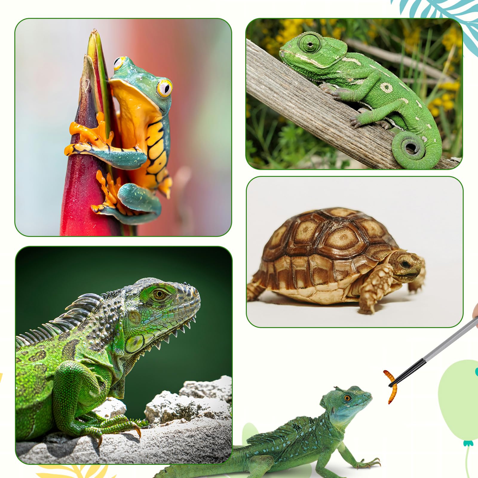 SHENLIU 3 pinzas de alimentación para reptiles, pinzas largas para acuario, pinzas de alimentación extralargas de acero inoxidable de 10.6 pulgadas con punta de goma, pinzas de alimentación curvadas — view 7