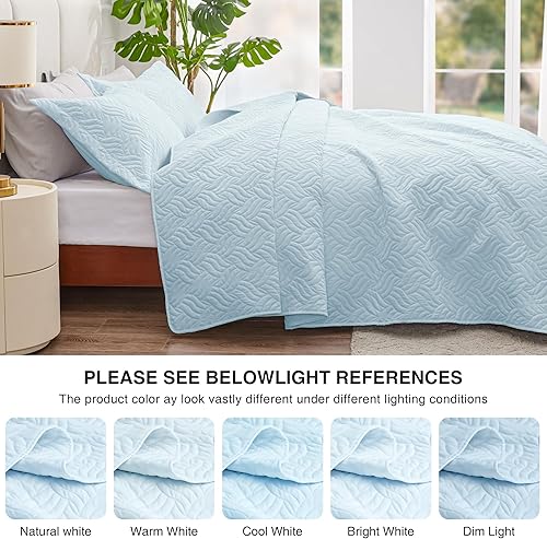 Miniatura 53 de Love's cabin - Juego de edredón tamaño King, color marrón, colcha de verano, microfibra ligera, estilo moderno de monedas, para todas