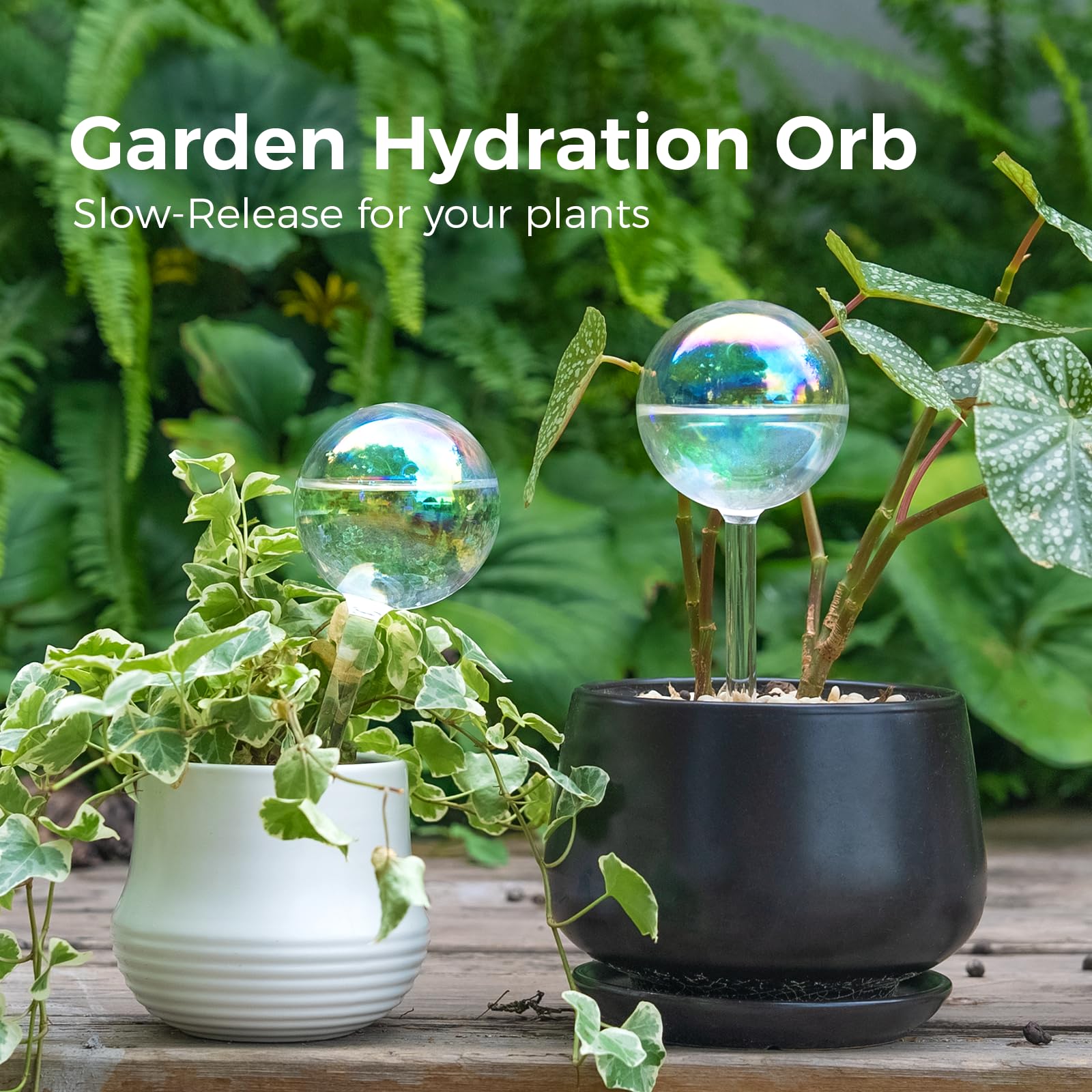 Bamworld Light Iridescent Rainbow Gradient Glass Self Watering Spikes and Globes 2 Pieces Automatic Irrigation for Indoor Outdoor Plants Watering Devices - Image 2