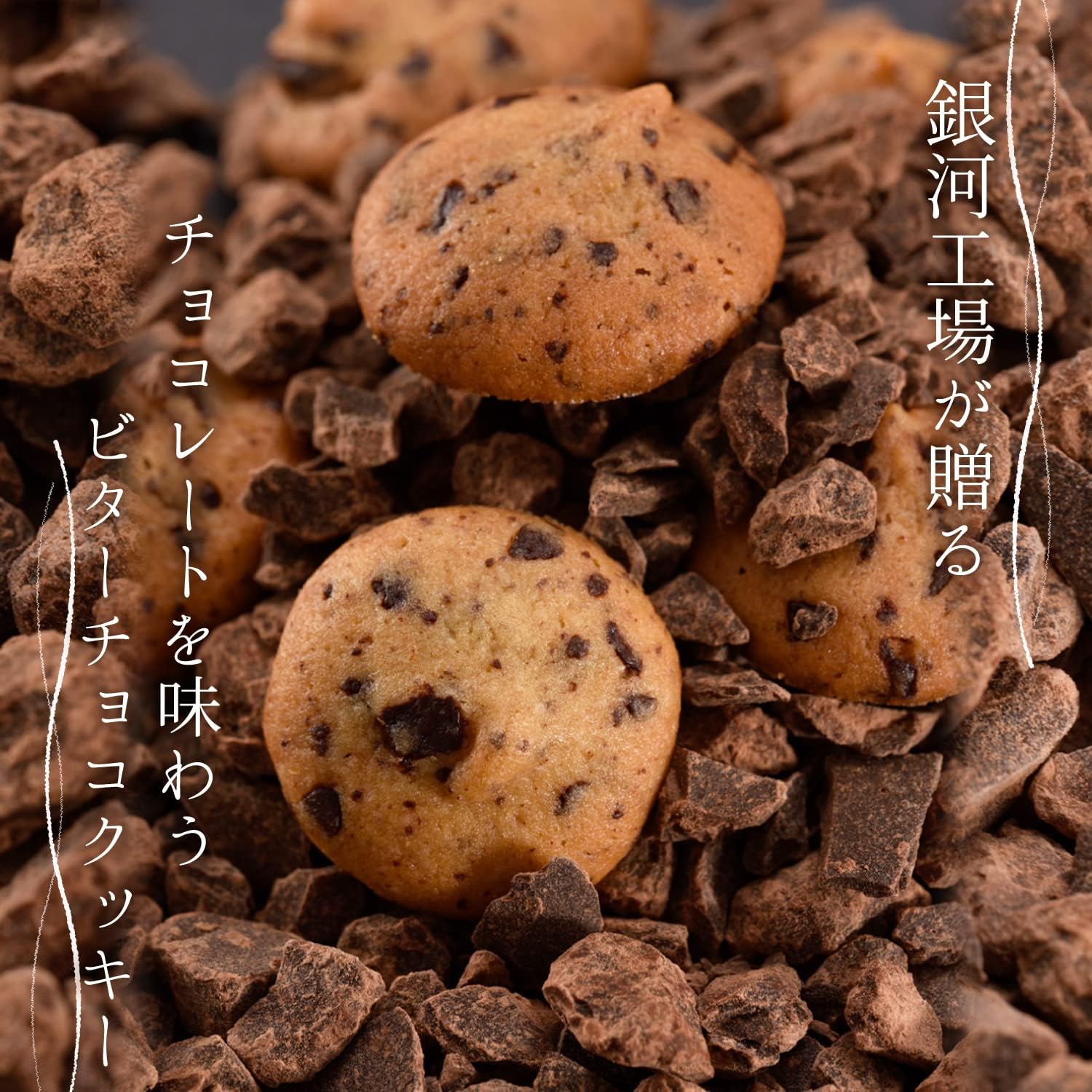 GINGA KOJO 銀河クッキー 詰め合わせ ネコとリス缶 クッキー缶 缶入り バタークッキー12枚_和紅茶クッキー12枚_ビターチョコ60g_ブールドネージュ10個入1缶