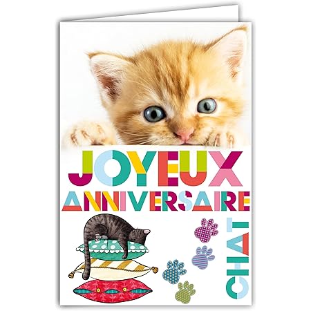 Afie 67 1234 Carte Joyeux Anniversaire Chaton Pattes De Chat Animaux Orange Fauve Tigre Bouquet Fleurs Avec Enveloppe Blanche Format 12x17 5cm Amazon Fr Fournitures De Bureau Afie 67 1234 Carte Joyeux Anniversaire Chaton Pattes De Chat Animaux Orange Fauve Tigre Bouquet Fleurs Avec Enveloppe Blanche Format 12x17 5cm Amazon Fr Fournitures De Bureau