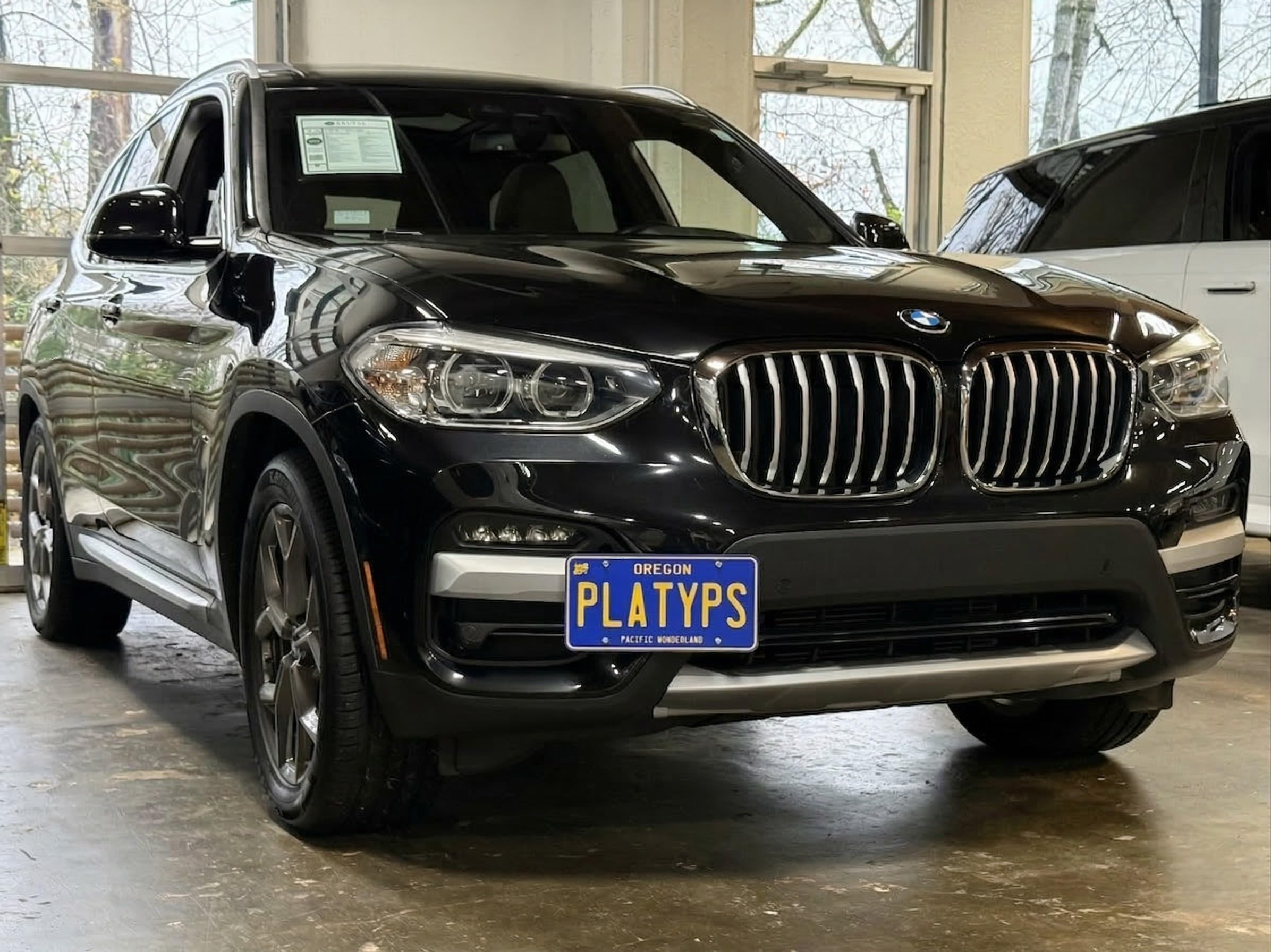 Amazon.com: CravenSpeed Platypus License Plate Mount Compatible