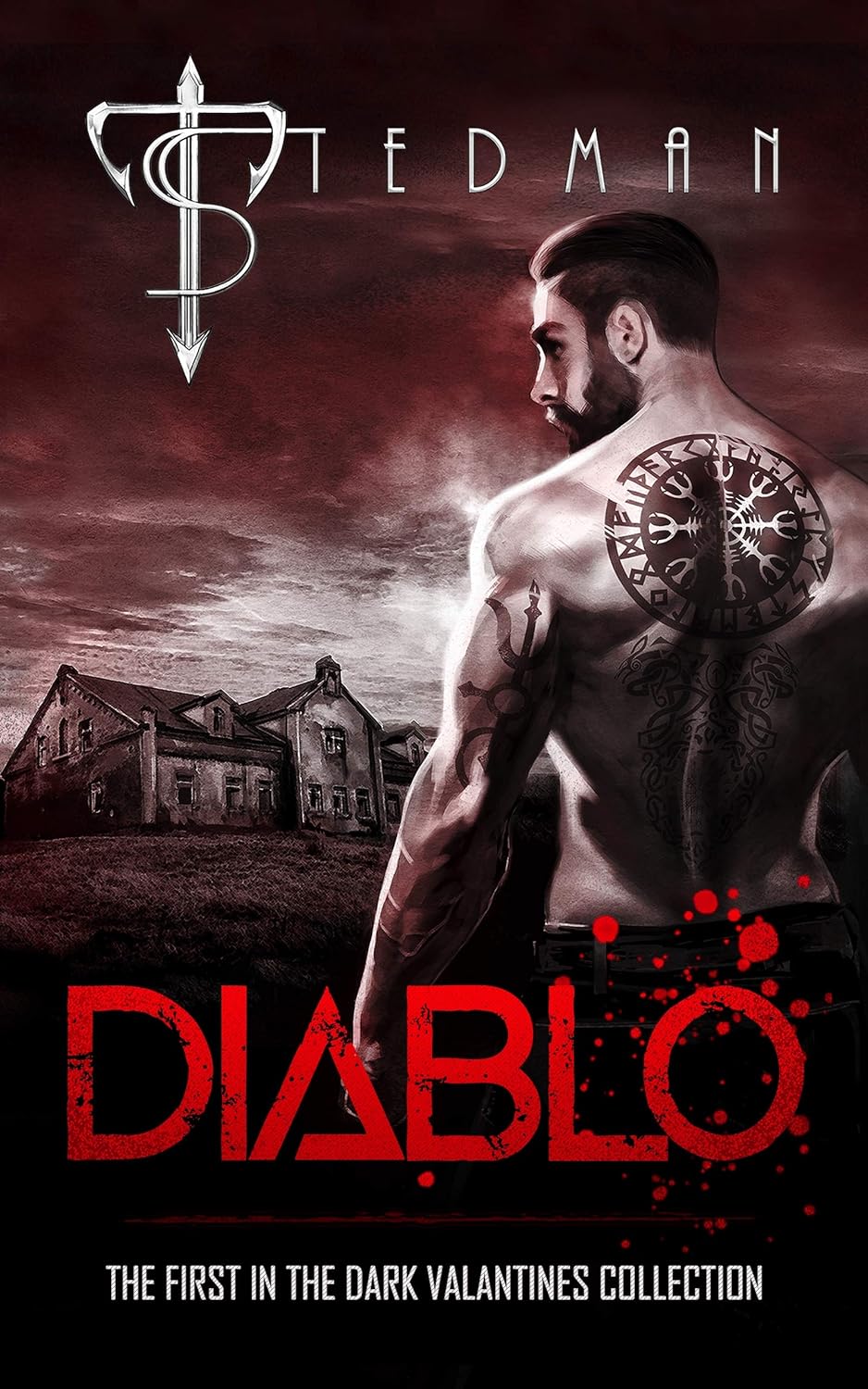 Amazon Diablo (The Dark Valentines Collection Book 1) (English