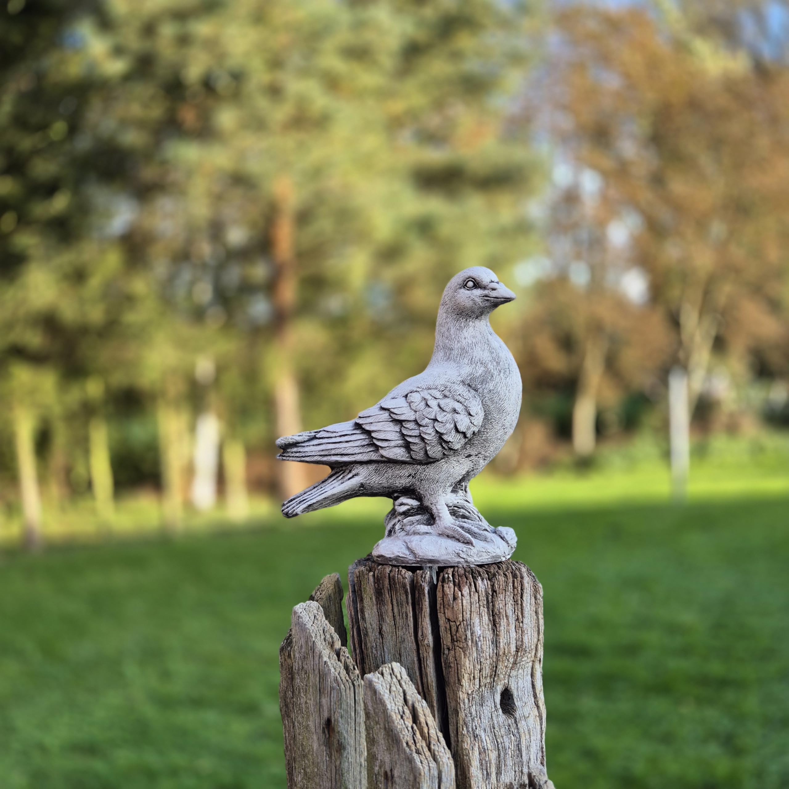 FABRIQ Handgefertigte Taubenfigur 24 cm – Schwarze wetterfeste Steinguss-Vogelskulptur – 3 kg – Handbemalt