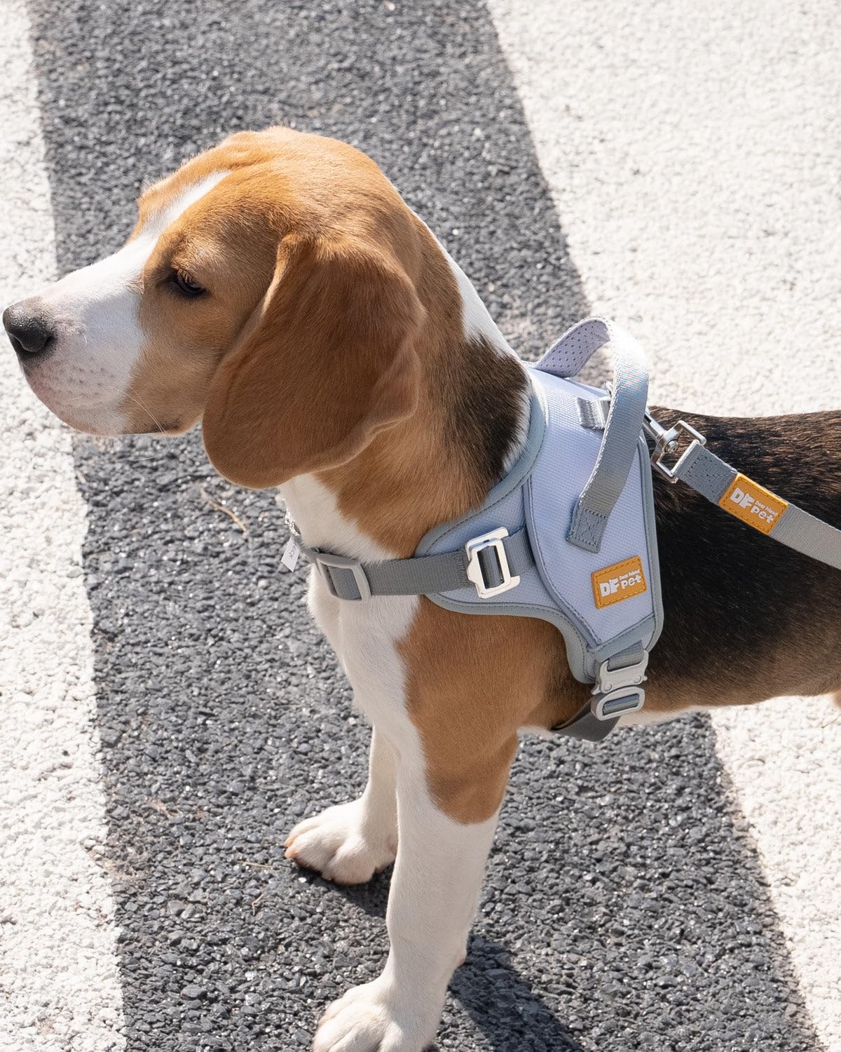 DF Pettorina Martingala per cani senza tirare, aiuta ogni passo senza soffocamento, vestibilità riflettente e regolabile, imbracatura con clip frontale con maniglia di controllo e fibbia tattica in