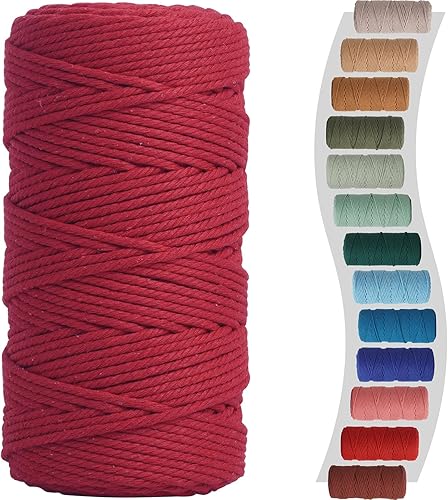 NOANTA Cuerda de macramé color rojo, 0.118 in x 150 yardas, cuerda de algodón colorido para colgar plantas de macramé, para colgar en la pared, para