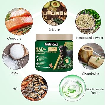 NMN Supplement for Dogs NAD+ Booster - Anti-Aging & Longevity | Soft Chews for Senior Dogs with Resveratrol, CoQ10, Glucosamine & Omega-3 - 3-in-1 Cellular Energy, Joint & Skin Support
