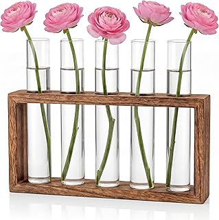 Cieex Kleine Vintage Blumenvase, Modern Glas Reagenzgläser Mit Ständer Holz, Vasen Deko Set für Hydrokultur Pflanzen Tischdeko Hause Büro Wohnzimmer Küche Oma Geschenk zum Muttertag Muttertagsgeschenk
