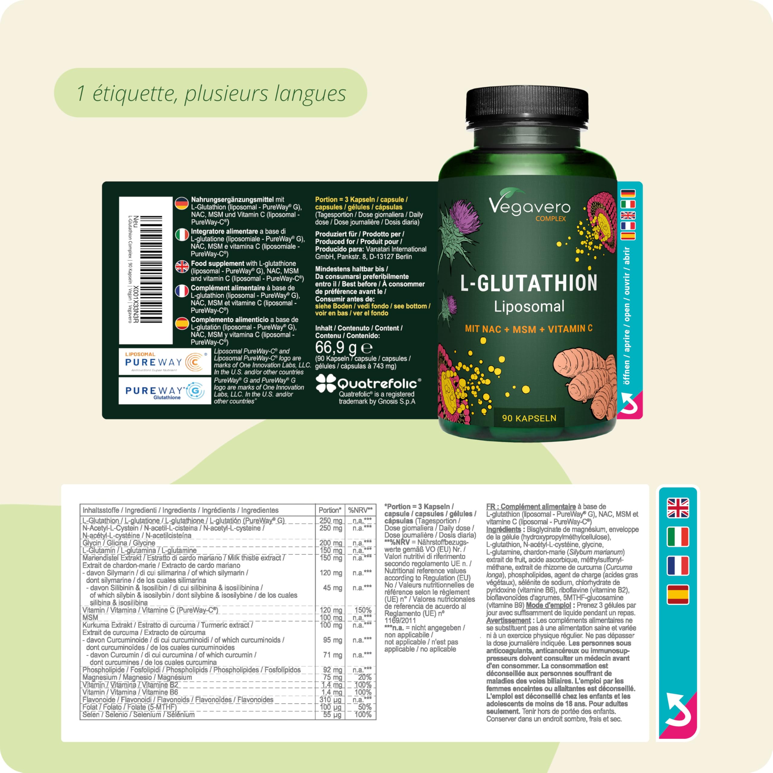 glutathione and oligodendrocytes Snapshot: What are oligodendrocytes?