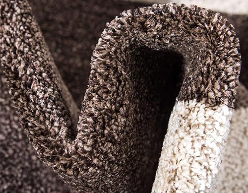 Miniatura 8 de Transición contemporánea