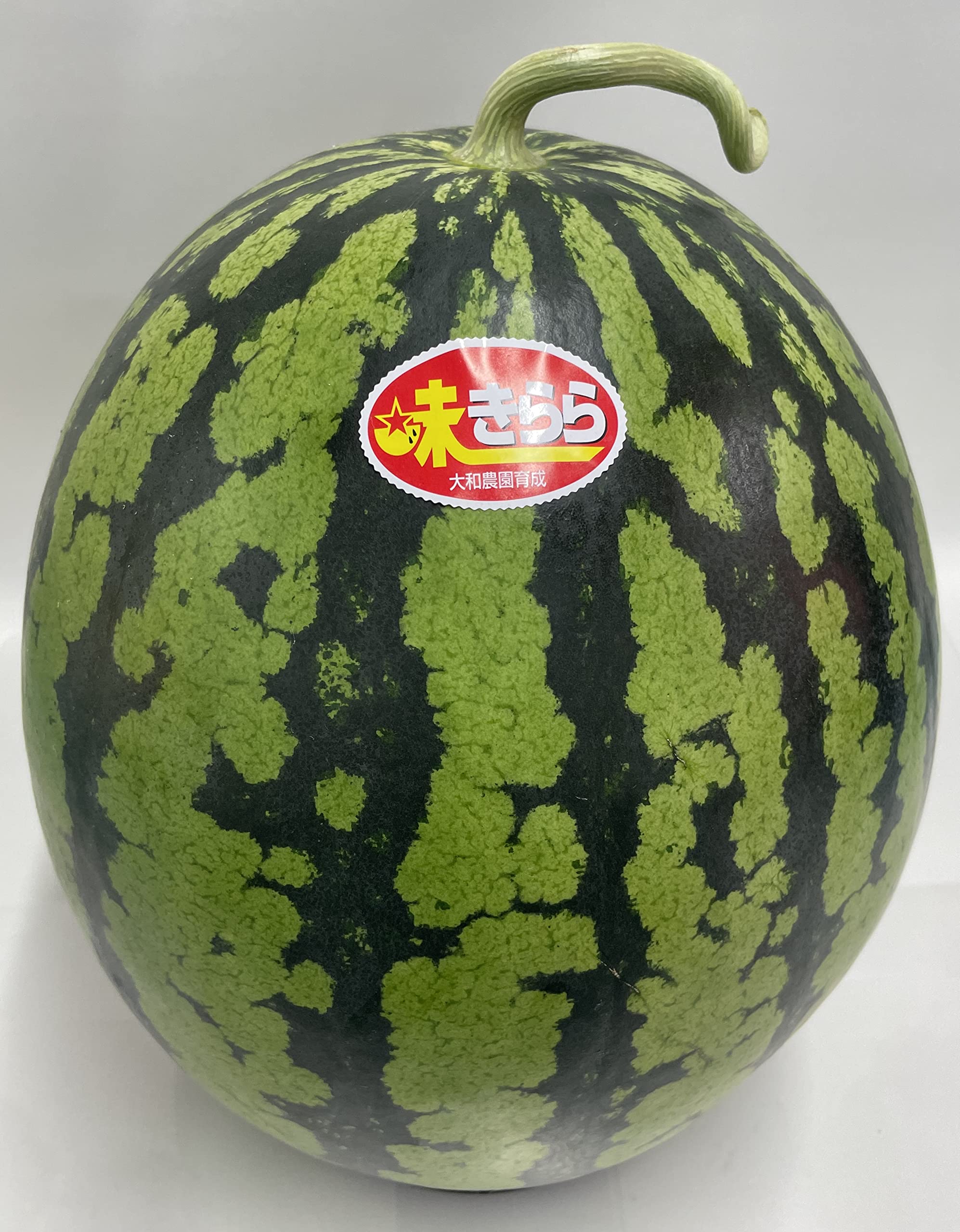 Amazon.co.jp: 植木すいか 5L~2Lサイズ（7㌔）以上 ご自宅用