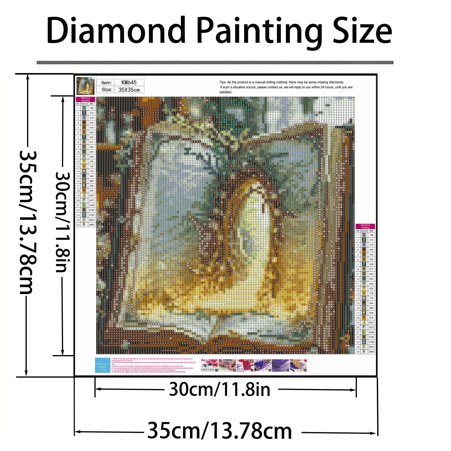 Kit per pittura con diamanti per principianti, kit per adulti, pittura magica per porte e libri, 5D, fai da te, decorazione per pareti di casa, 35 x 35 cm