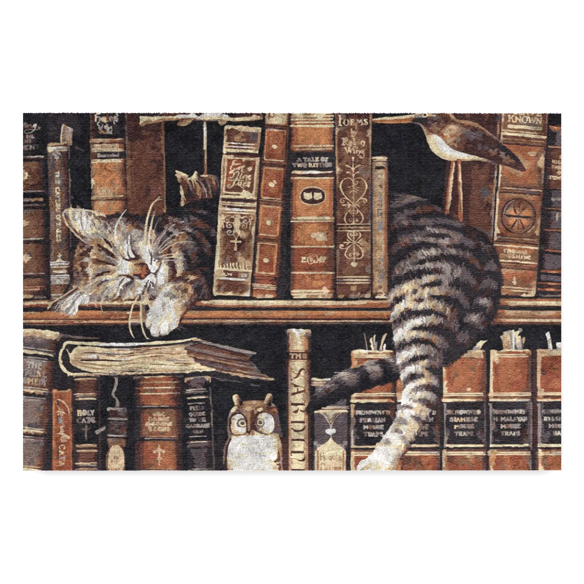 Monnhein Tasarımlı Dekoratif Kapı önü Paspas, Dış Mekan/Ev İçi/Banyo/Mutfak/Yatak Odası/Giriş Paspasları (Uykucu Kedi, 40x60)