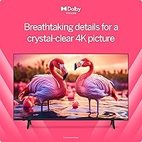 Vista 4 de VIZIO - Televisor inteligente LED 4K UHD de 43 pulgadas con Dolby Vision HDR, DTS Virtual: X, compatibilidad con Alexa, Chromecast integrado
